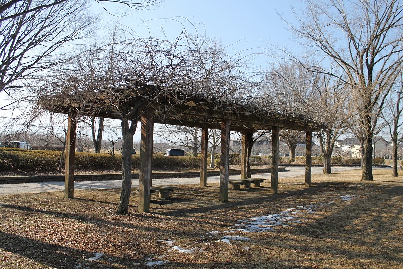 赤沼公園のベンチ