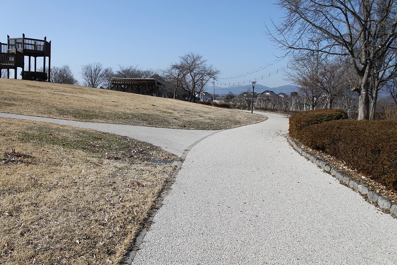 赤沼公園の遊歩道