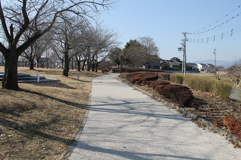 赤沼公園の遊歩道