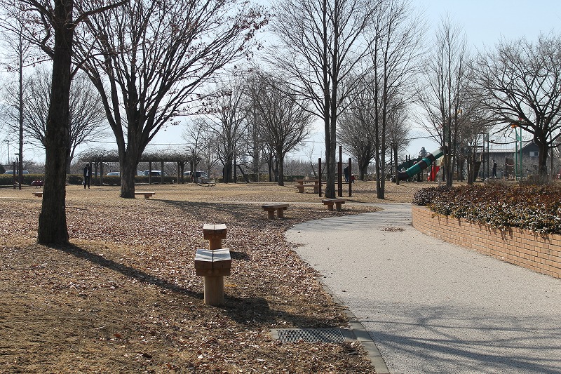 赤沼公園の遊歩道