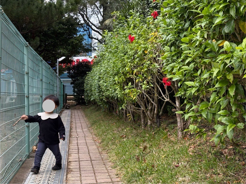 ラグナガーデンホテルからトロピカルビーチまで散策する子ども