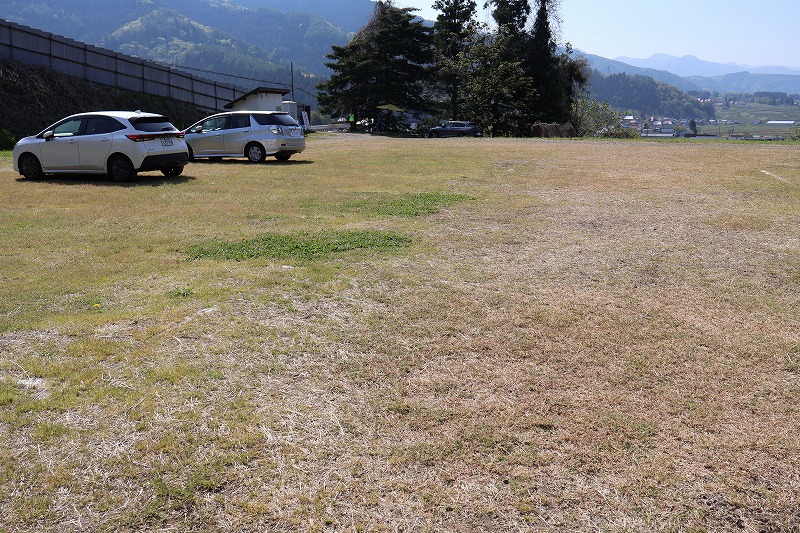 いいやな菜の花公園P2の様子