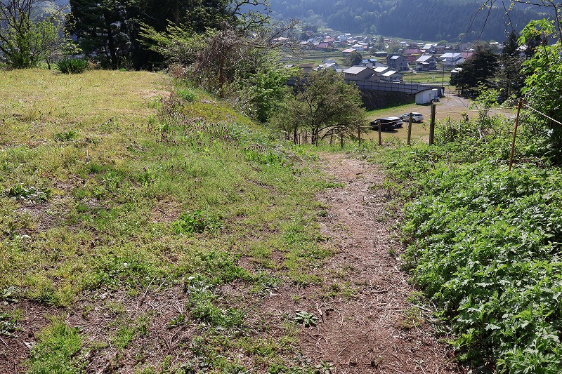 いいやま菜の花公園までの道の様子
