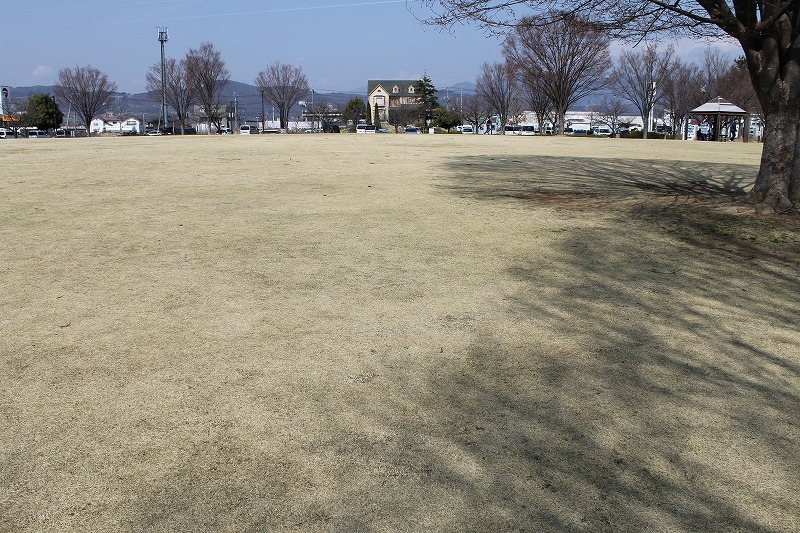 南長野運動公園の整整備された広い芝生の様子