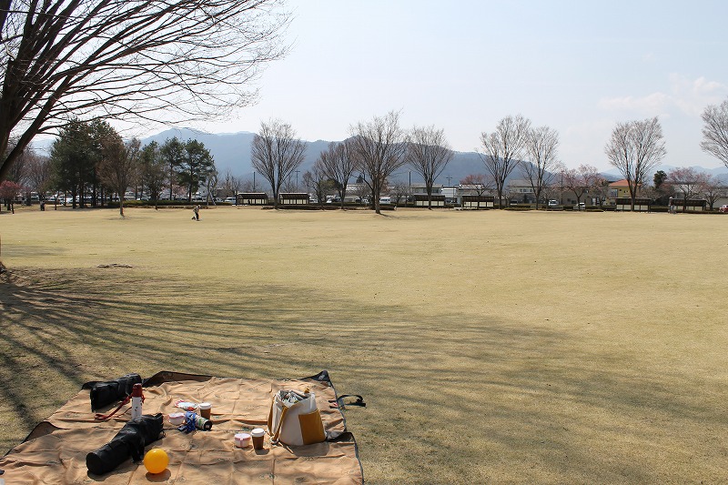 南長野運動公園の芝生の上にシートを広げてピクニックの準備をしている様子