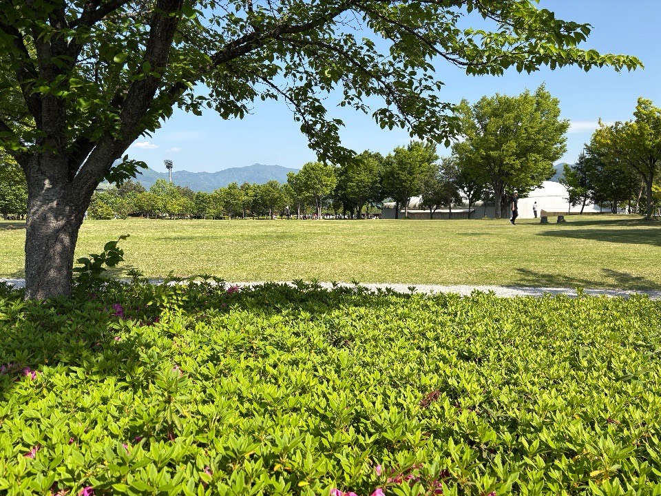 南長野運動公園の第4駐車場が芝生エリアに一番近くて便利な様子