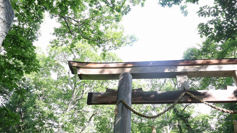 戸隠神社奥社参道の入口にある鳥居の様子
