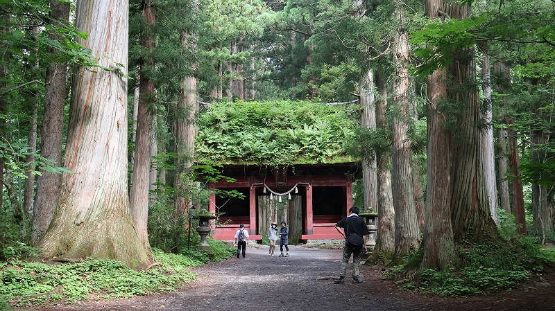戸隠神社奥社の参道にある随神門の様子