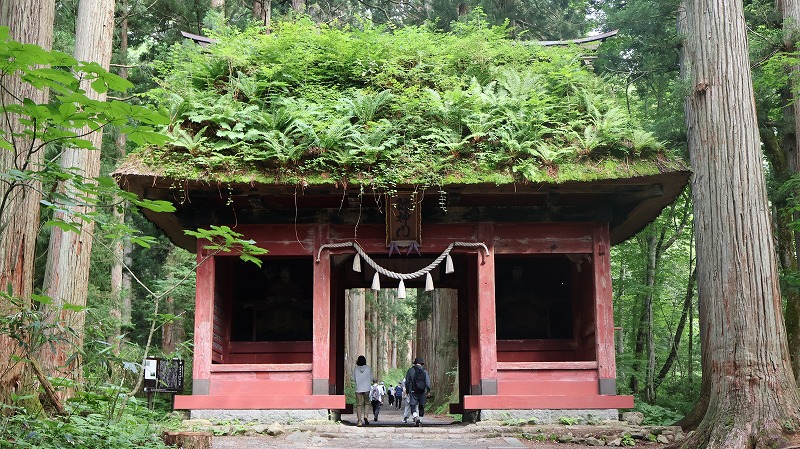 戸隠神社奥社の参道にある随神門の様子