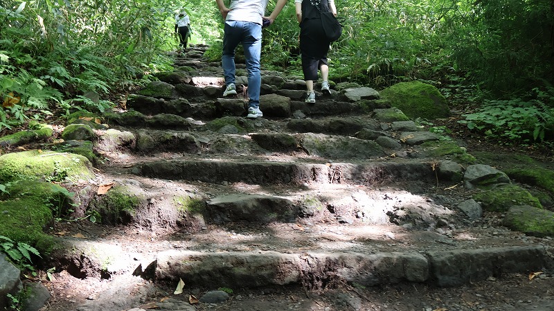 戸隠神社奥社の急な石段が出てきた箇所の様子