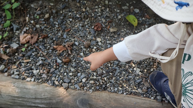 セミの抜け殻を見つけてうれしそうな3歳児