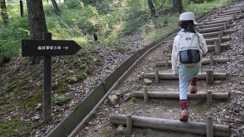 森将軍塚古墳までの道のりを頑張って歩く7歳児の様子