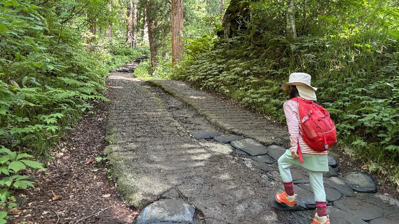 戸隠神社奥社までの参道を歩く7歳児