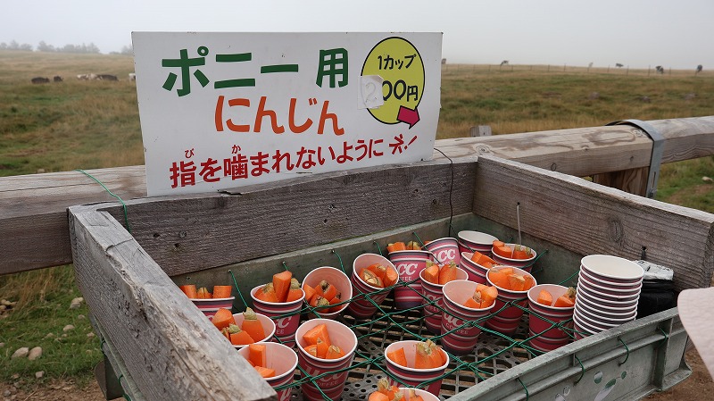 美ヶ原高原にあるポニー用のにんじんの販売
